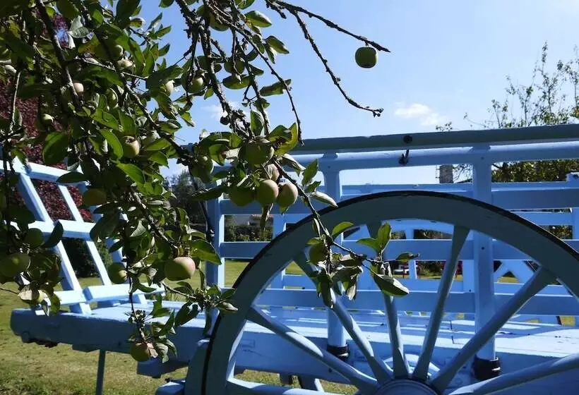 Aamiaismajoitus (B&B) Aux Chambres Des Bujours