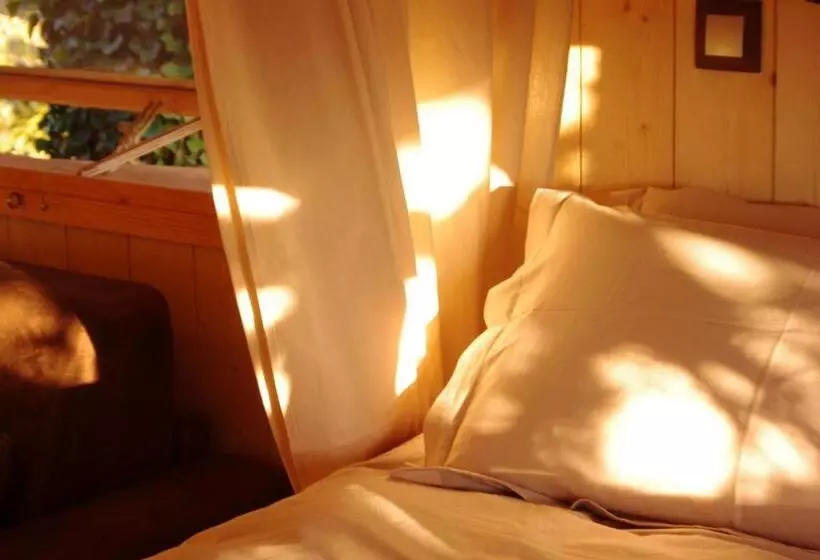 ベッドアンドブレックファースト Domaine Des Grands Cèdres