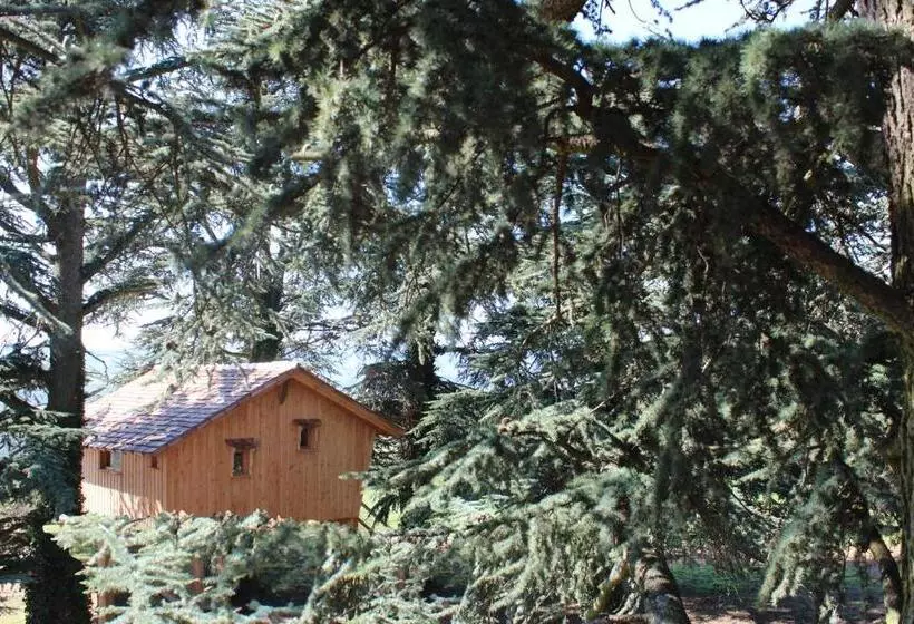 ベッドアンドブレックファースト Domaine Des Grands Cèdres