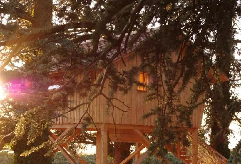 ベッドアンドブレックファースト Domaine Des Grands Cèdres