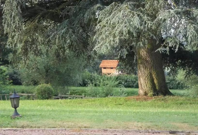 ベッドアンドブレックファースト Domaine Des Grands Cèdres