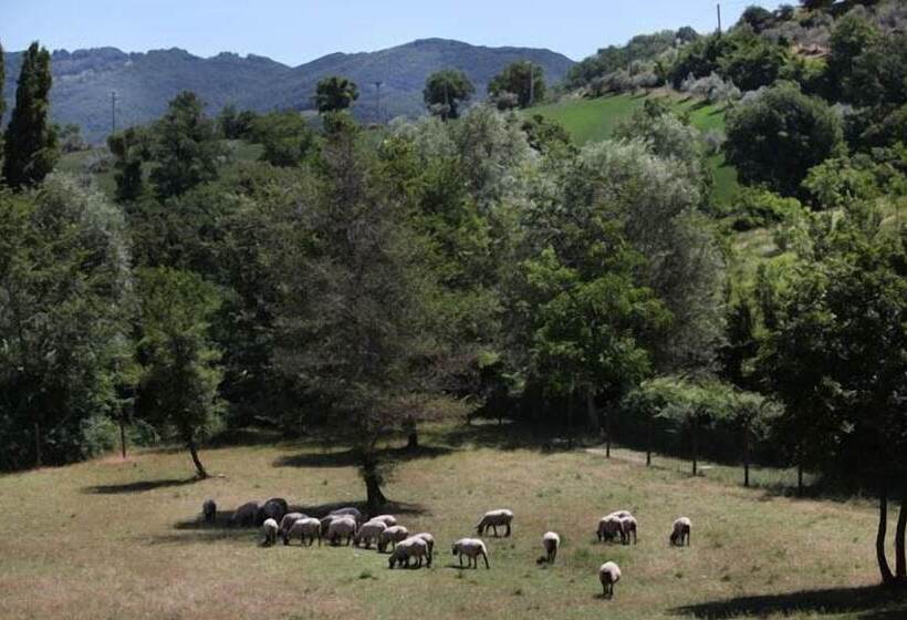 Отель Agriturismo Il Castello