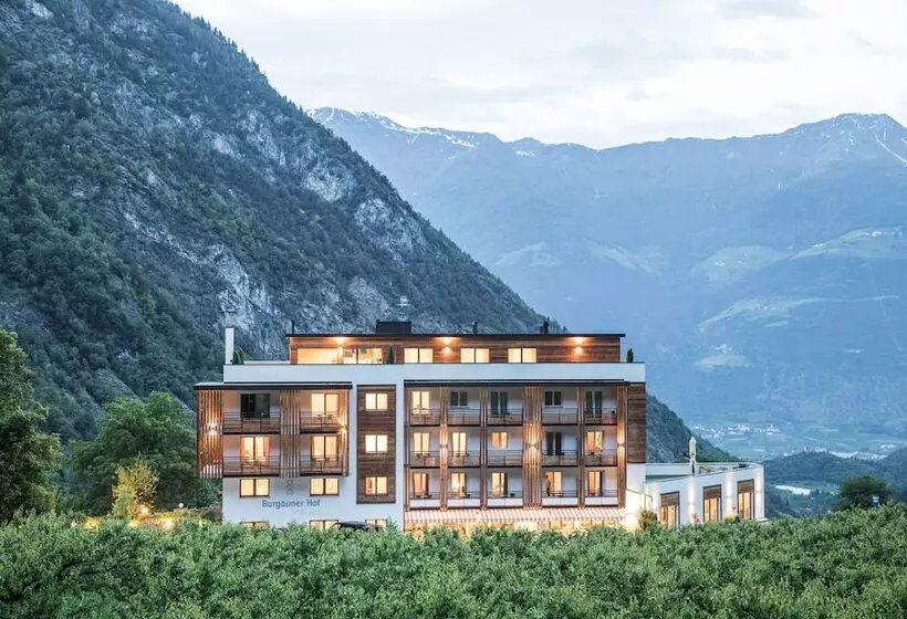 Hotelli Burgaunerhof