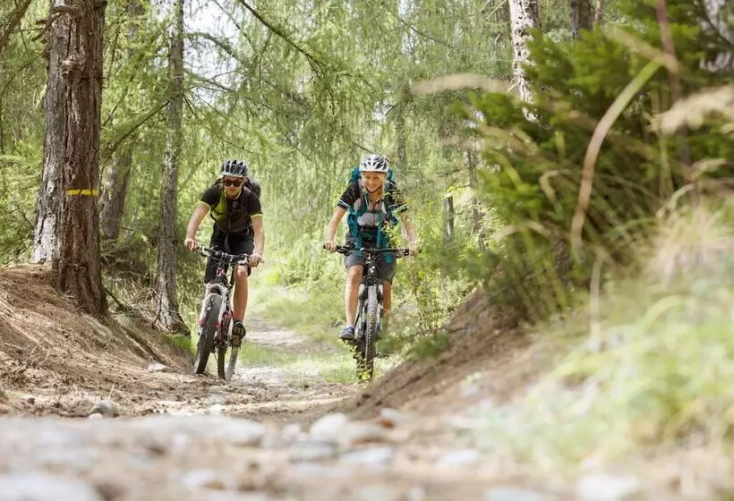 Hotelli Burgaunerhof