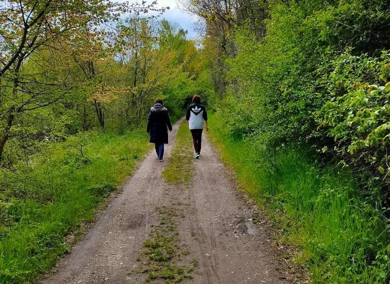 ホテル Hôtel Restaurant Oberlé