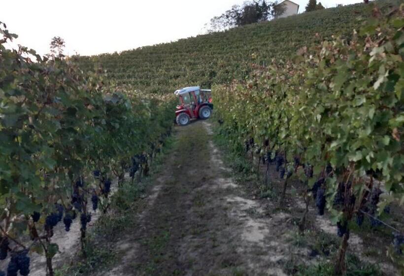 Отель Locanda San Lorenzo