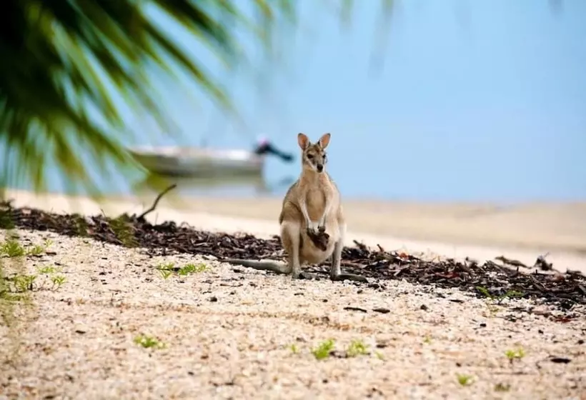 リゾートホテル Crab Claw Island