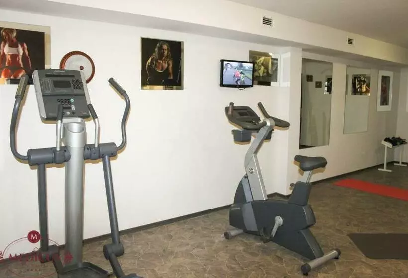 Spa Hotel Medicus