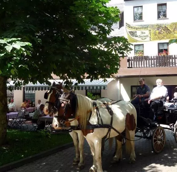 Waldgasthof & Hotel Am Sauwald