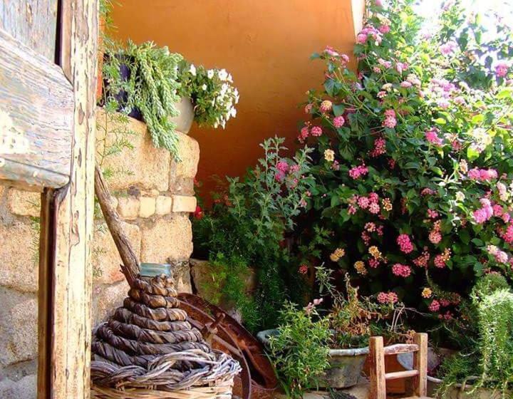 B&b Sa Specula Iun E4404