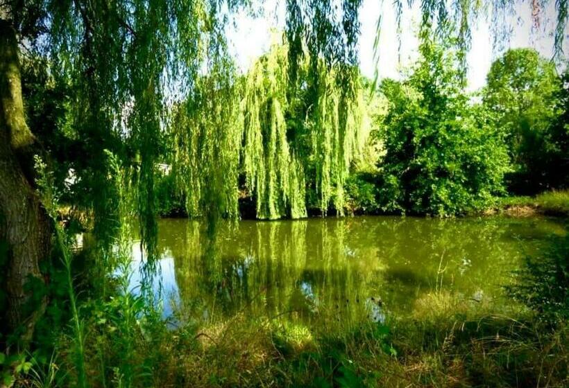 تختخواب و صبحانه Agriturismo Parco Campofelice