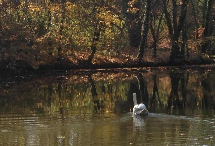 住宿加早餐  Chateau De Bresse Sur Grosne