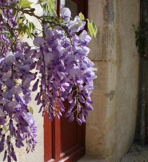 Bed and Breakfast Chateau De Castelneau