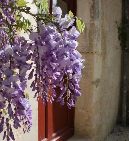 Aamiaismajoitus (B&B) Chateau De Castelneau