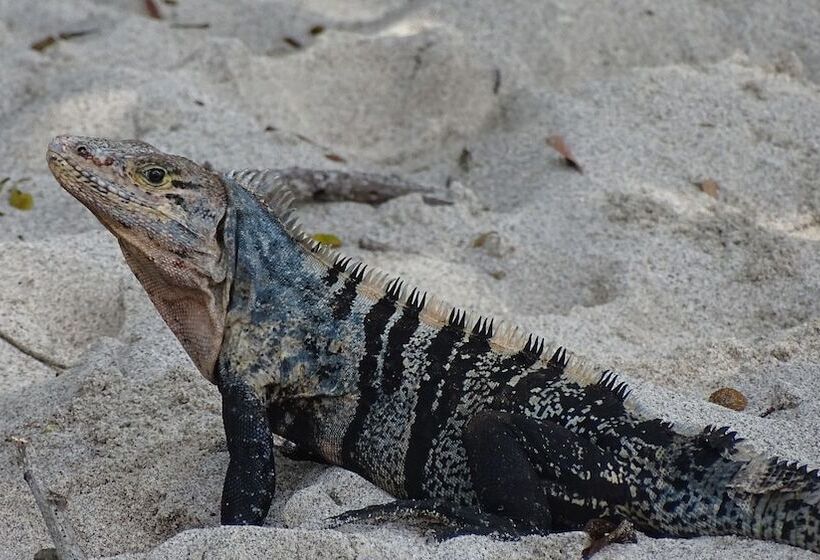 민박 La Colina Pura Vista