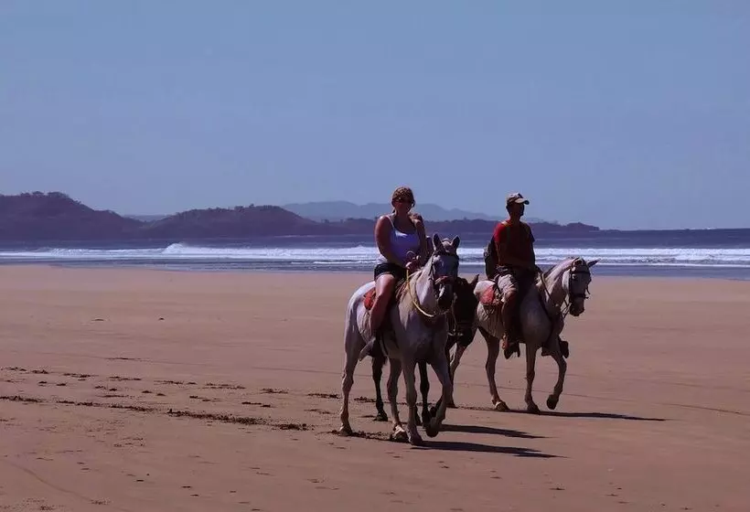Aamiaismajoitus (B&B) La Colina Pura Vista