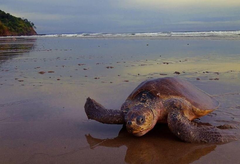 민박 La Colina Pura Vista