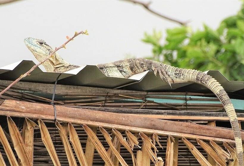 민박 La Colina Pura Vista