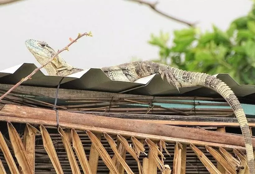 Aamiaismajoitus (B&B) La Colina Pura Vista