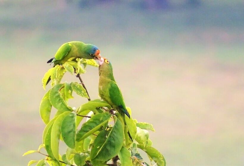 민박 La Colina Pura Vista