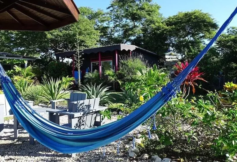 Aamiaismajoitus (B&B) La Colina Pura Vista