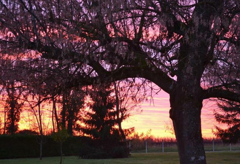 Bed and Breakfast Maison D Hôtes La Prévôté