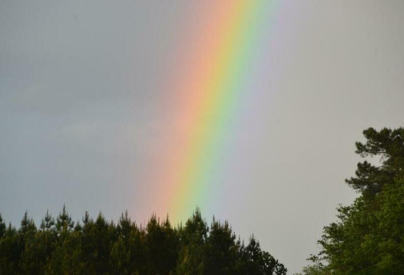 Bed and Breakfast Maison D Hôtes La Prévôté