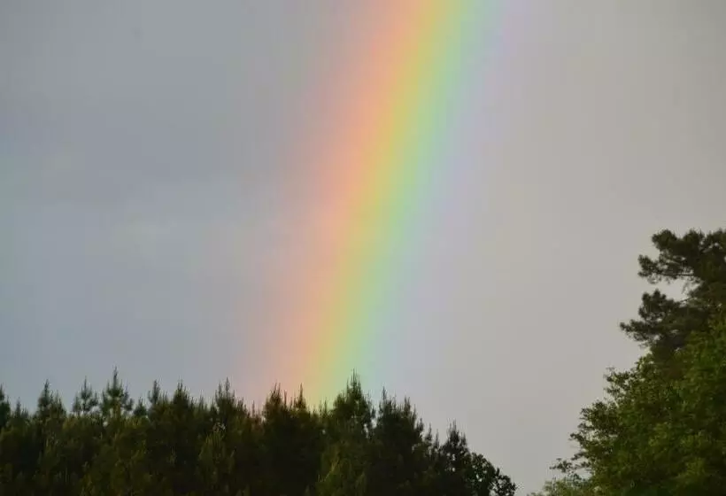 Aamiaismajoitus (B&B) Maison D Hôtes La Prévôté