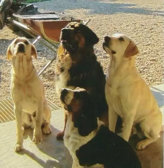 Aamiaismajoitus (B&B) Maison D Hôtes La Prévôté