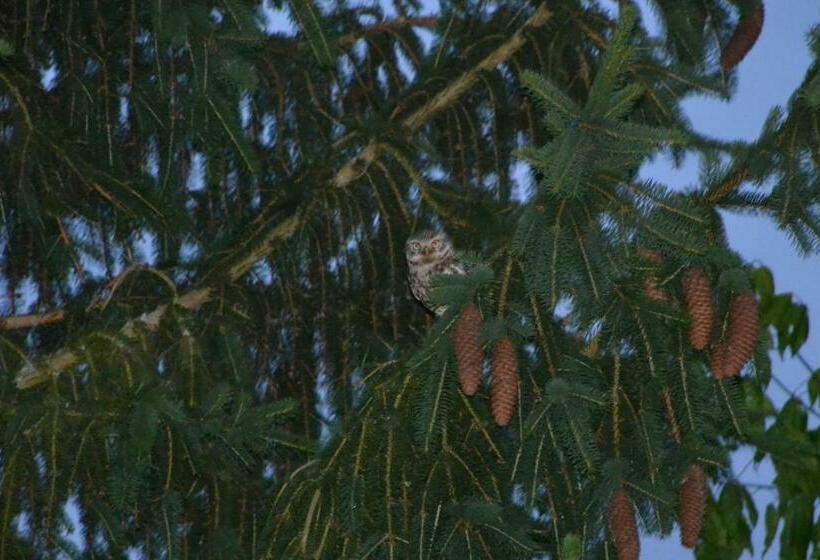Bed and Breakfast Maison D Hôtes La Prévôté