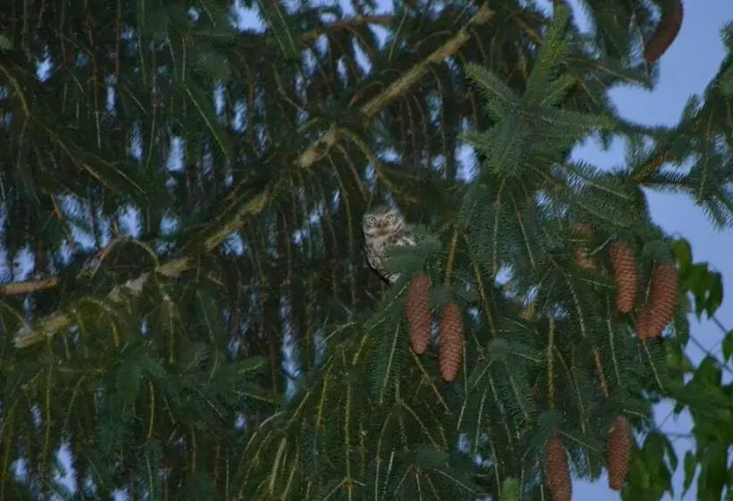 Aamiaismajoitus (B&B) Maison D Hôtes La Prévôté