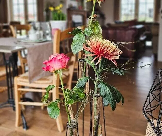 Boutique B&b Droomkerke