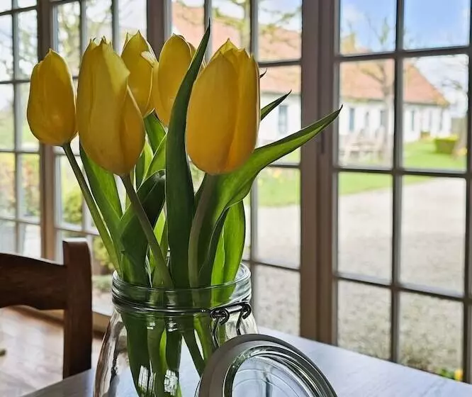 Boutique B&b Droomkerke