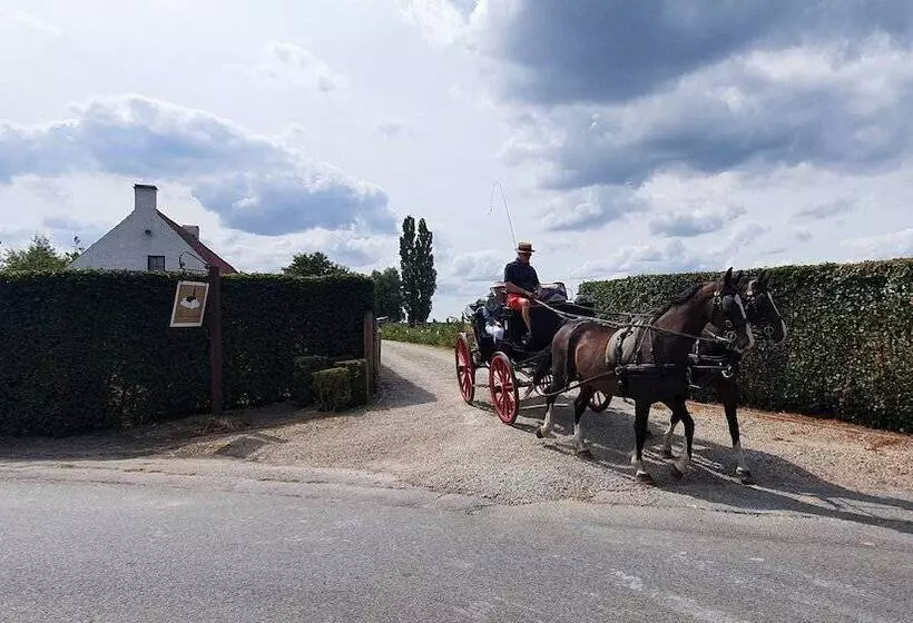 Boutique B&b Droomkerke