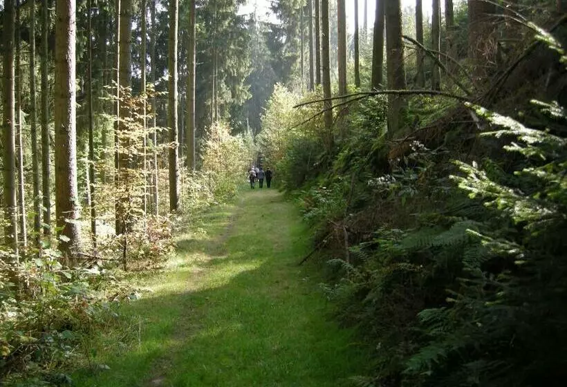 Gasthaus Pension Islekhöhe Gansen