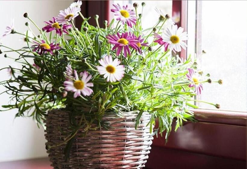 فندق Agriturismo Ronchi Rò