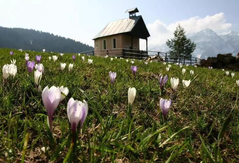 ホテル Familienwanderhof Eggeler
