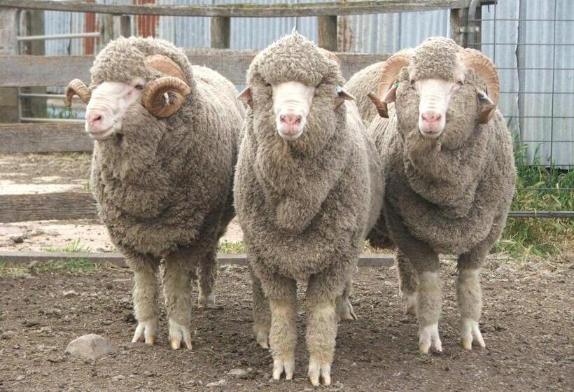 Отель Grampians Historic Tobacco Kiln