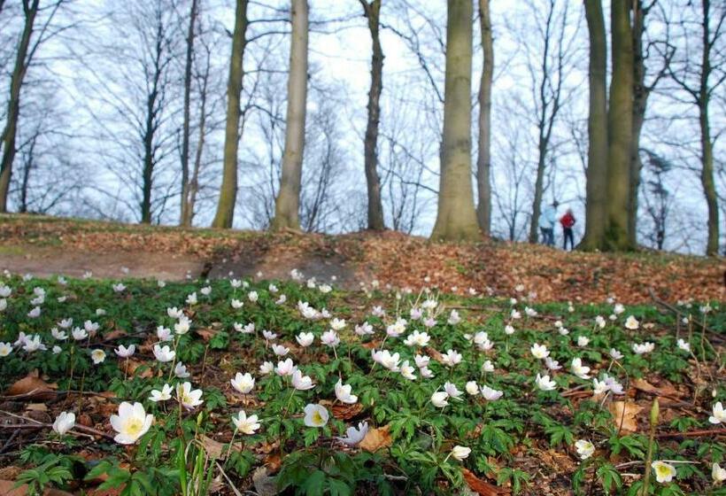 فندق Inselglück