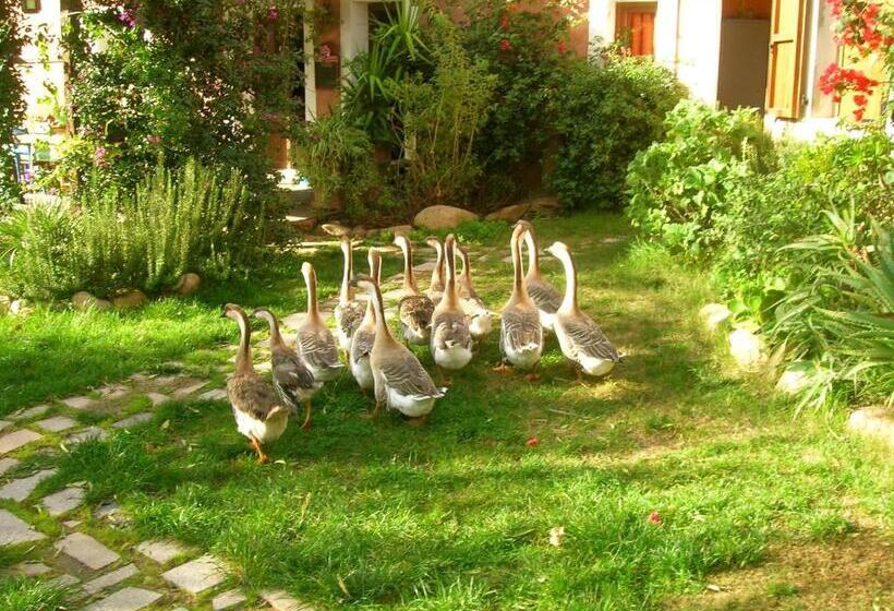 ホテル La Fattoria Delle Tartarughe