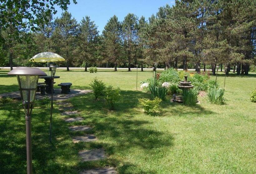 汽车旅馆  Auberge Godard