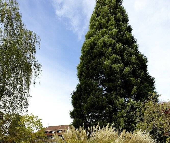 Naturkulturhotel Stumpf