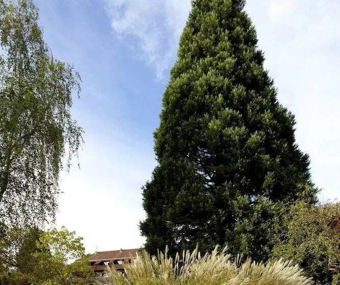 Naturkulturhotel Stumpf