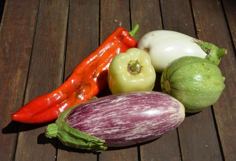 פנסיון Chambres D'hôtes Domaine Du Hameau Baylesse