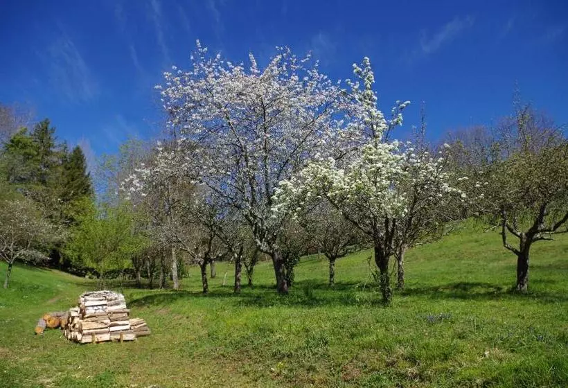 Majatalo Chambres D'hôtes Domaine Du Hameau Baylesse