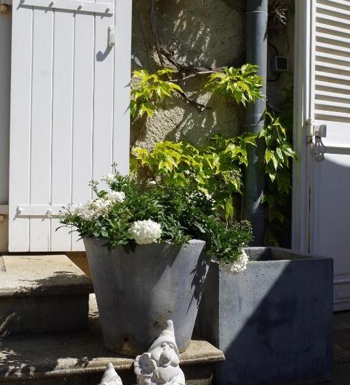 פנסיון Chambres D'hôtes Domaine Du Hameau Baylesse