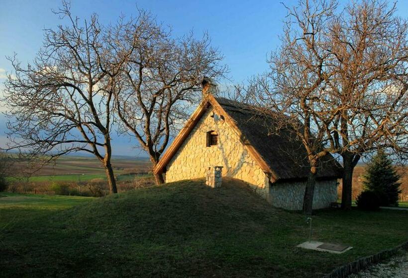 פנסיון Dióliget Diófácska Présház