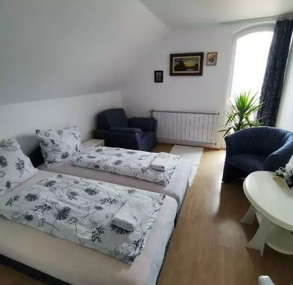 ペンション Gabi Magánszálláshely