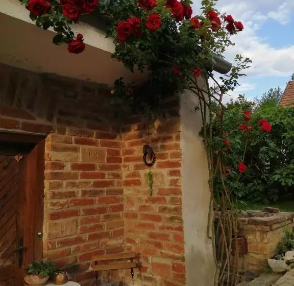 ペンション Míves Vendégház