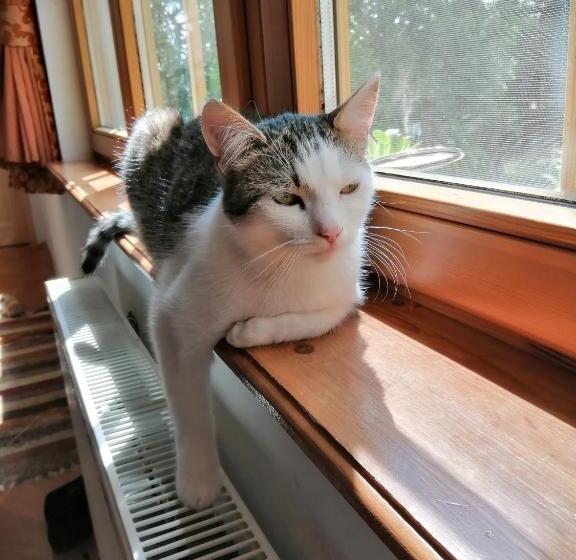 بنسيون Míves Vendégház